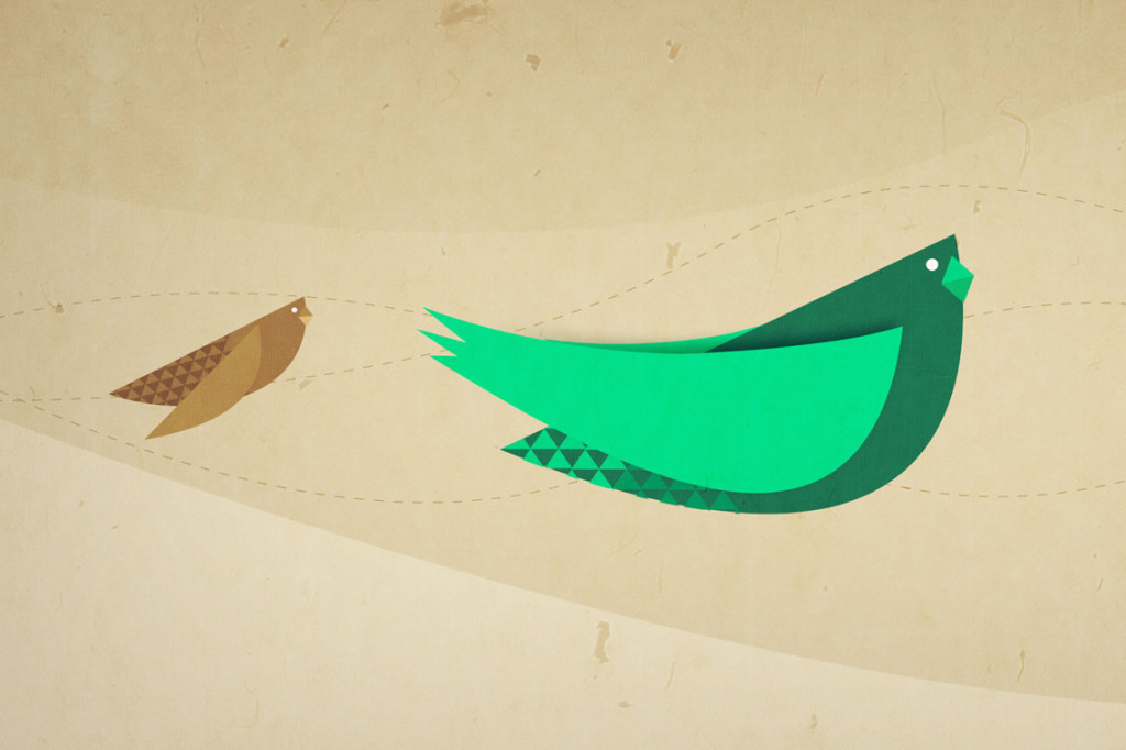 San Diego Pet Training