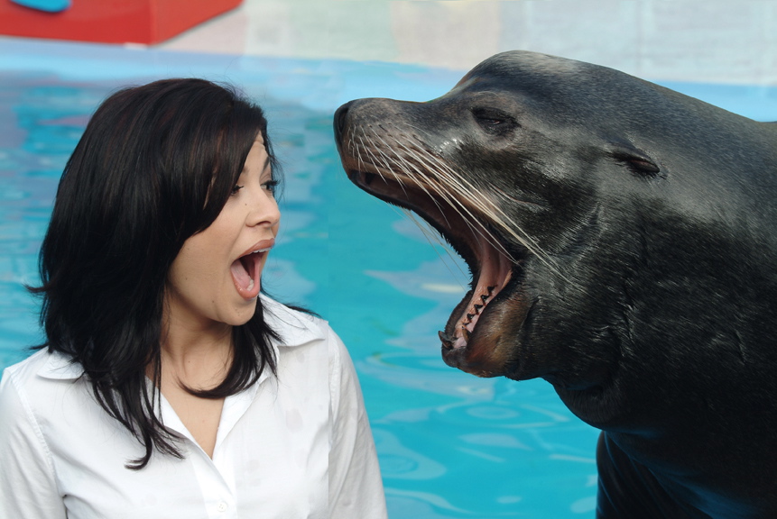 San Diego Pet Training