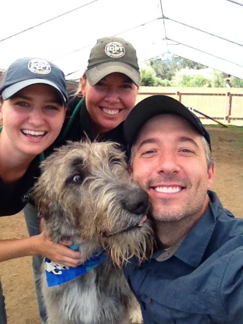 San Diego Pet Training