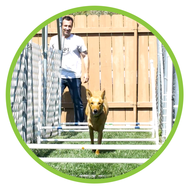 San Diego Pet Training